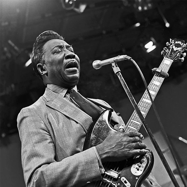 Muddy Waters